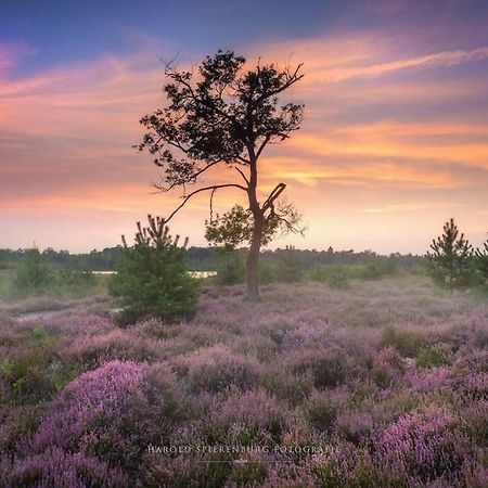 Natuurhuisje Oisterwijk Villa Ngoại thất bức ảnh