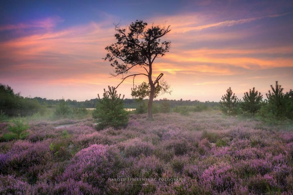 Natuurhuisje Oisterwijk Villa Ngoại thất bức ảnh